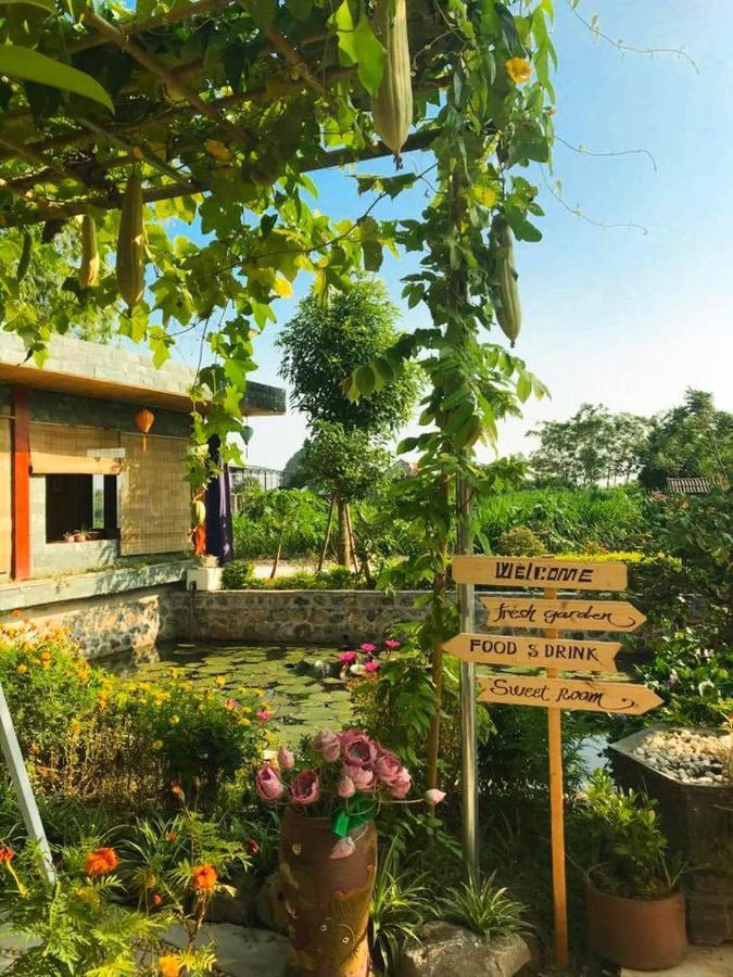 Hang Mua Nature Homestay Ninh Binh Exterior foto
