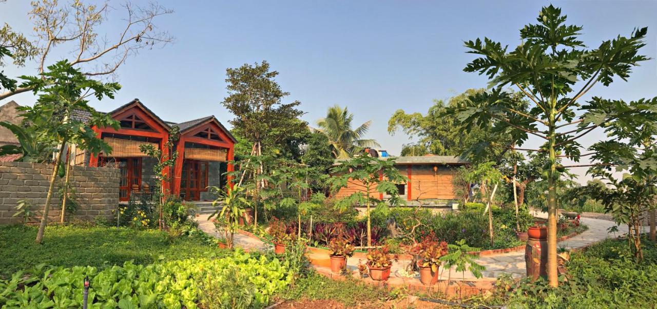 Hang Mua Nature Homestay Ninh Binh Exterior foto